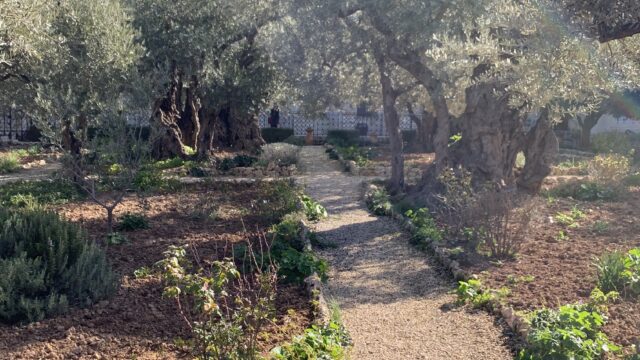 Good Friday: In the Garden of Gethsemane